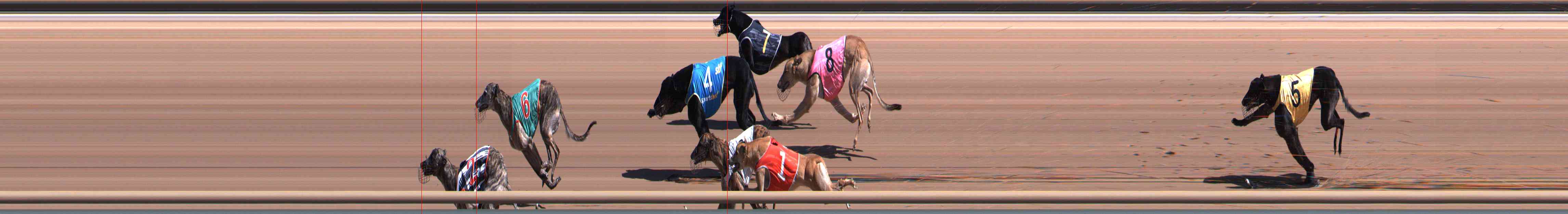 Photo finish for Healesville Race 3