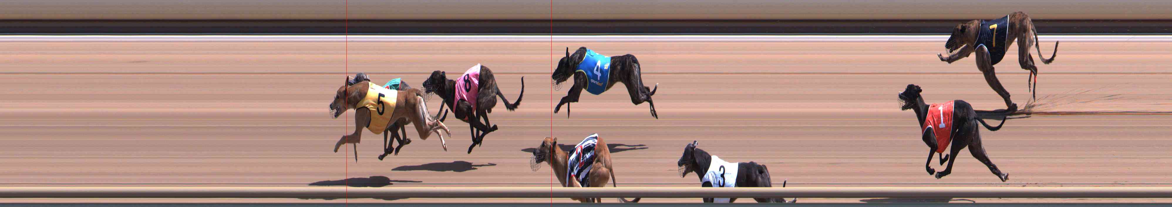 Photo finish for Healesville Race 4