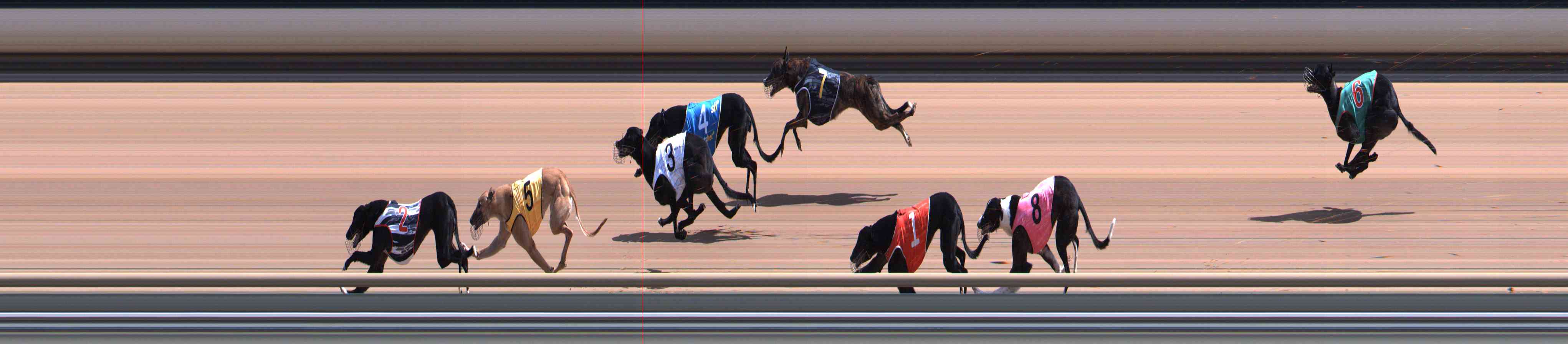Photo finish for Healesville Race 5