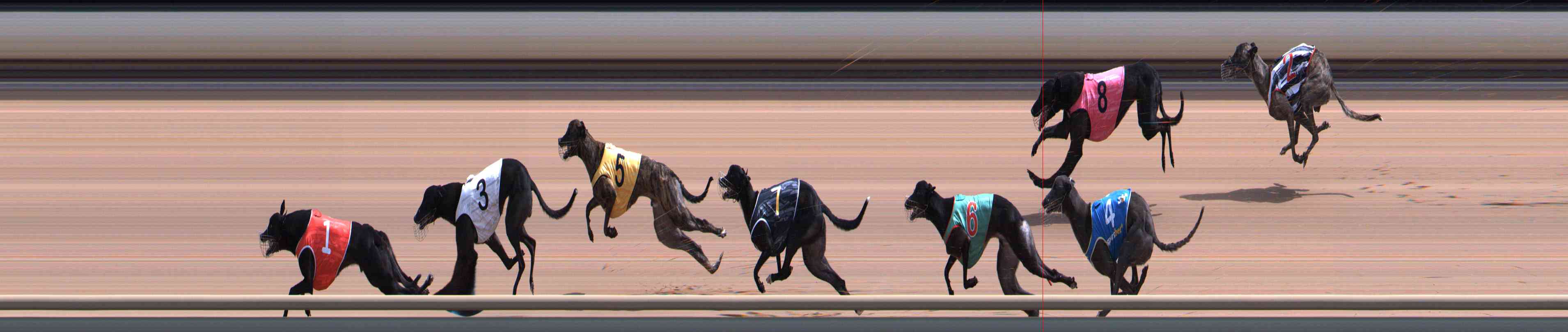Photo finish for Healesville Race 6