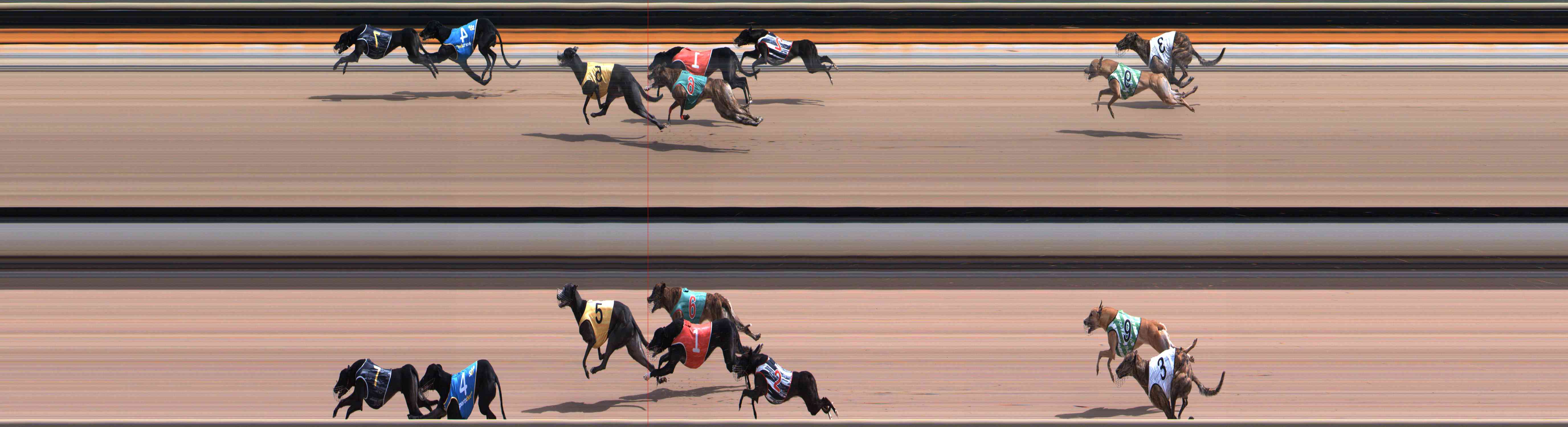 Photo finish for Healesville Race 7