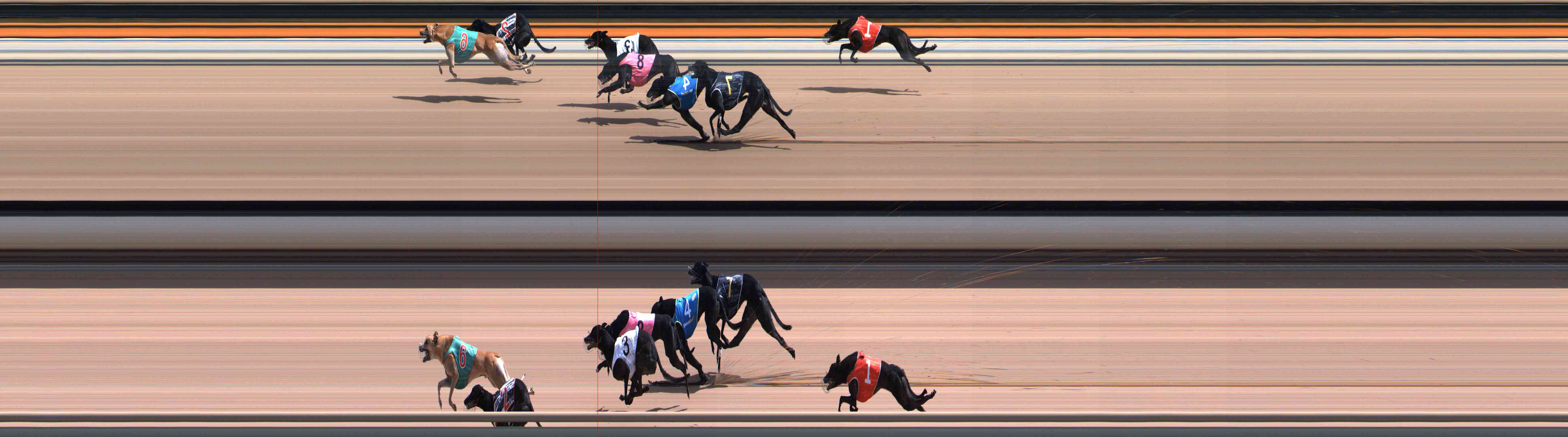 Photo finish for Healesville Race 8