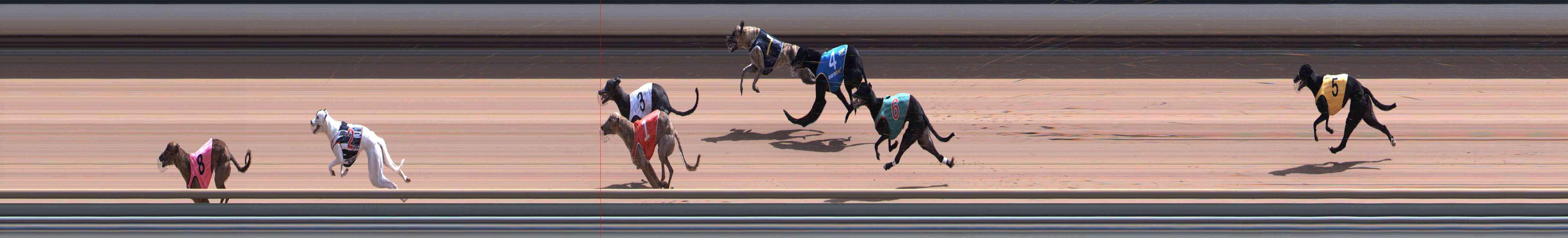 Photo finish for Healesville Race 9