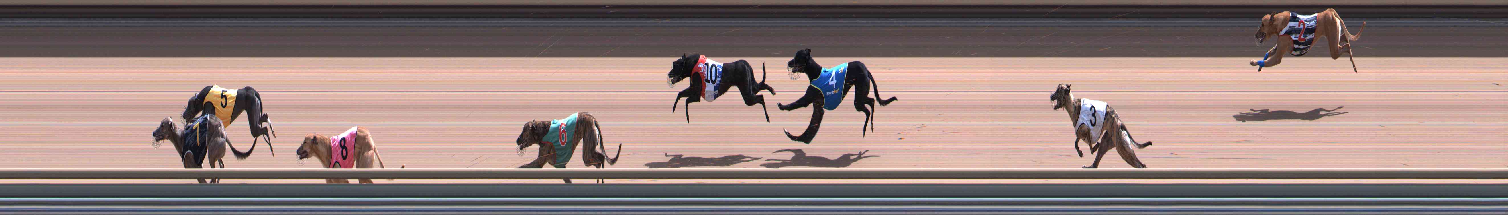 Photo finish for Healesville Race 10