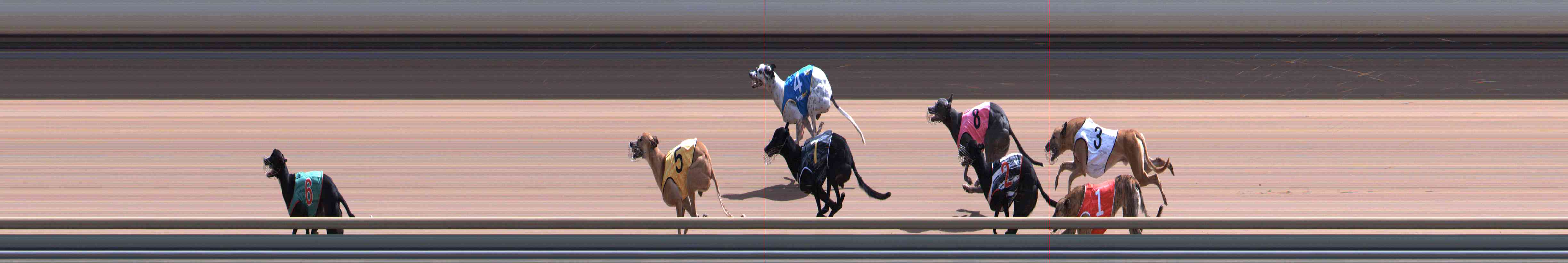 Photo finish for Healesville Race 11