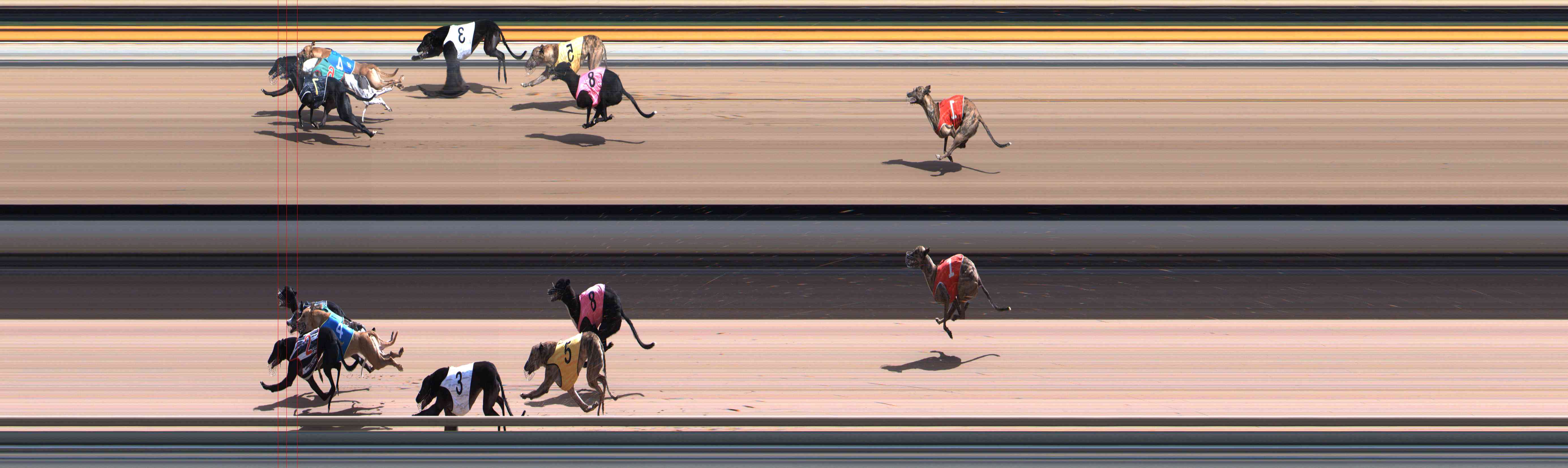 Photo finish for Healesville Race 12