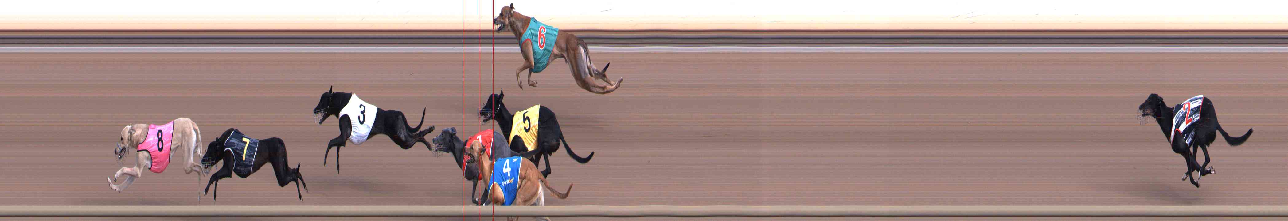 Photo finish for Healesville Race 1