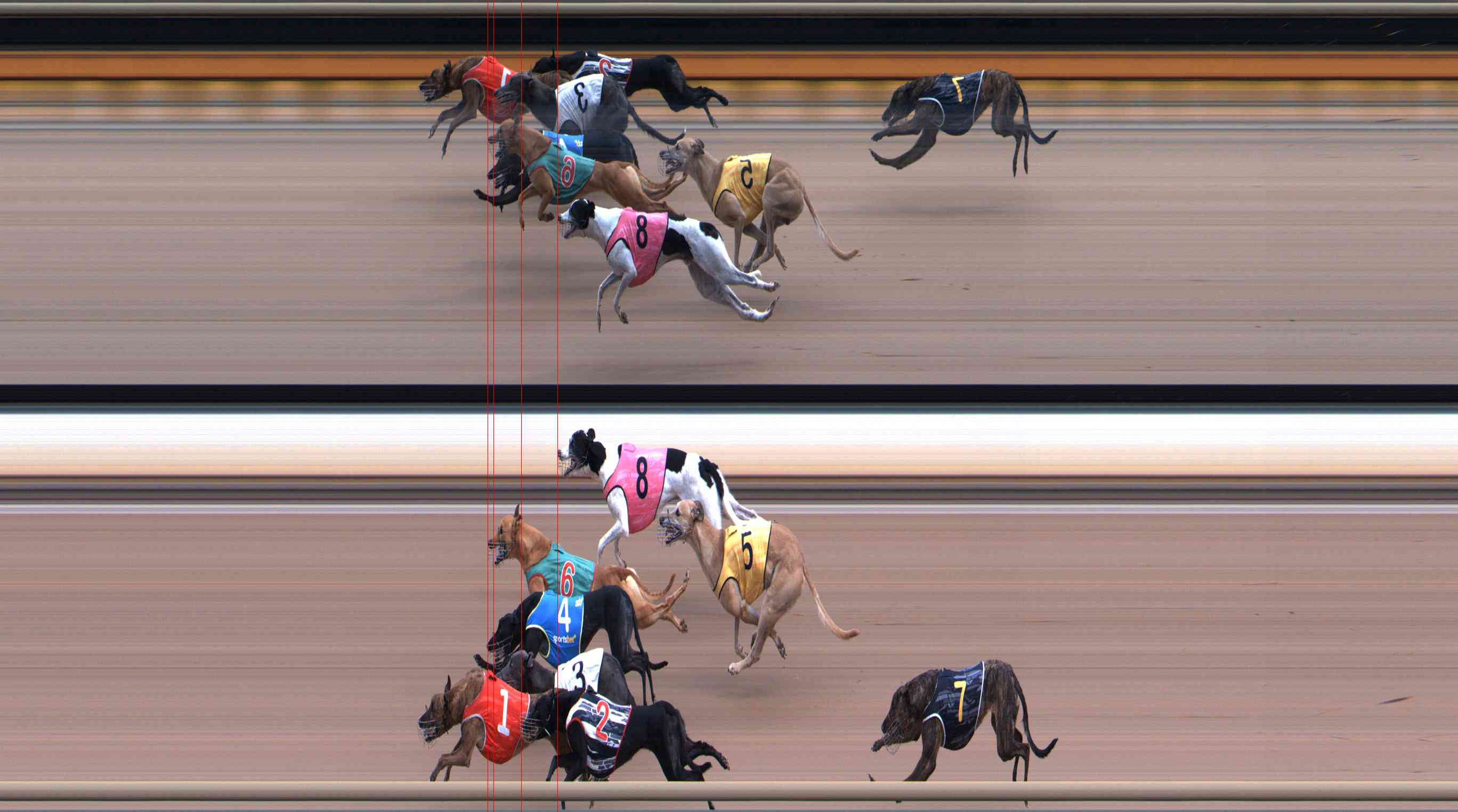 Photo finish for Healesville Race 2