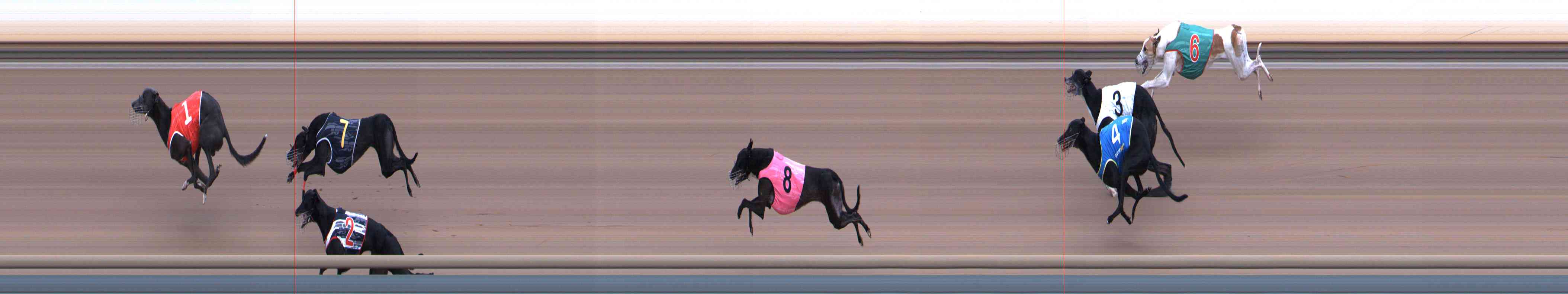Photo finish for Healesville Race 3