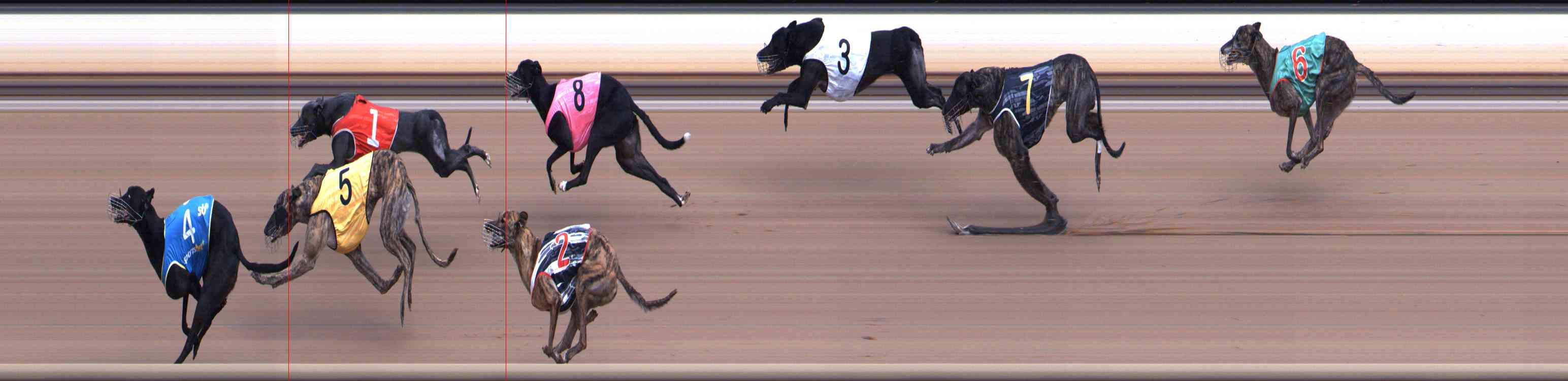 Photo finish for Healesville Race 4