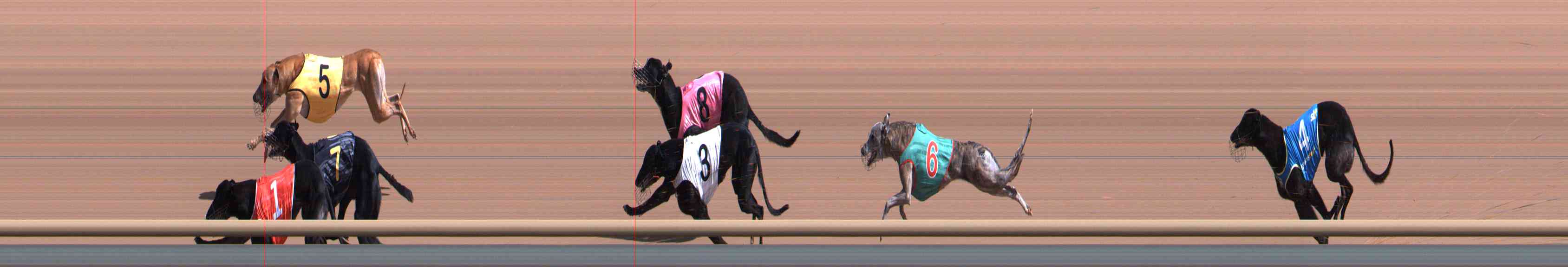 Photo finish for Healesville Race 5