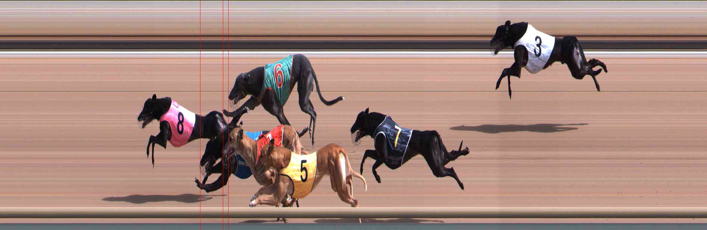 Photo finish for Healesville Race 6