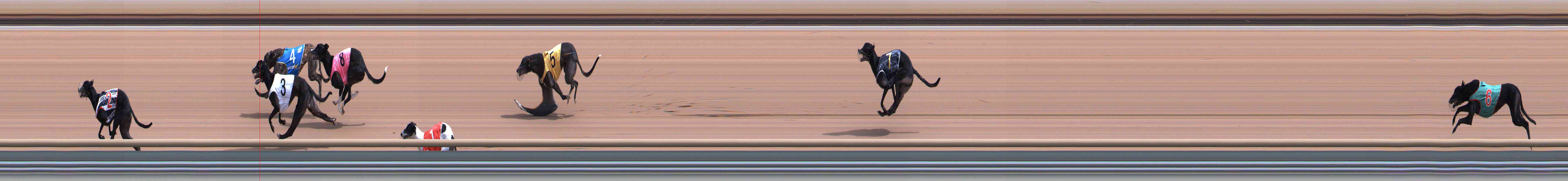 Photo finish for Healesville Race 7