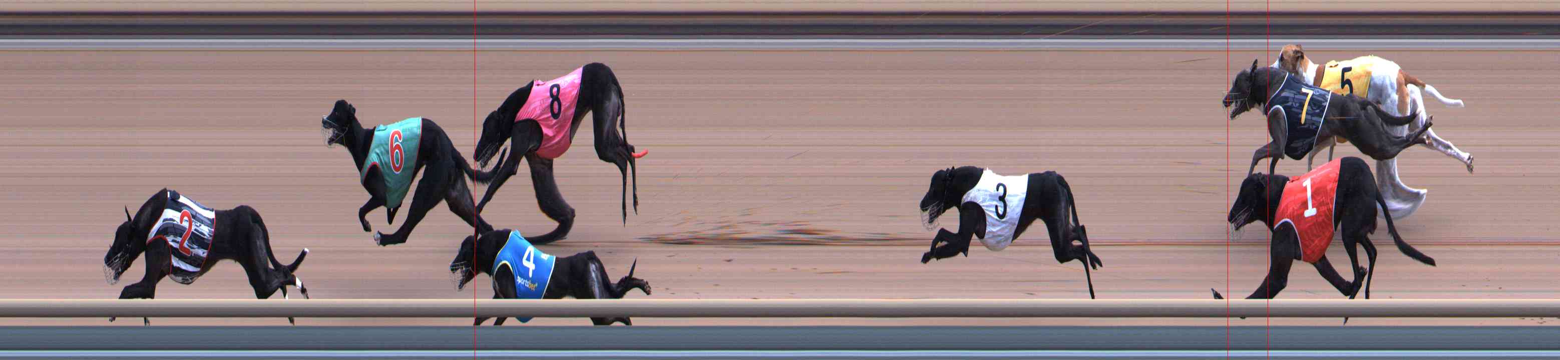 Photo finish for Healesville Race 8