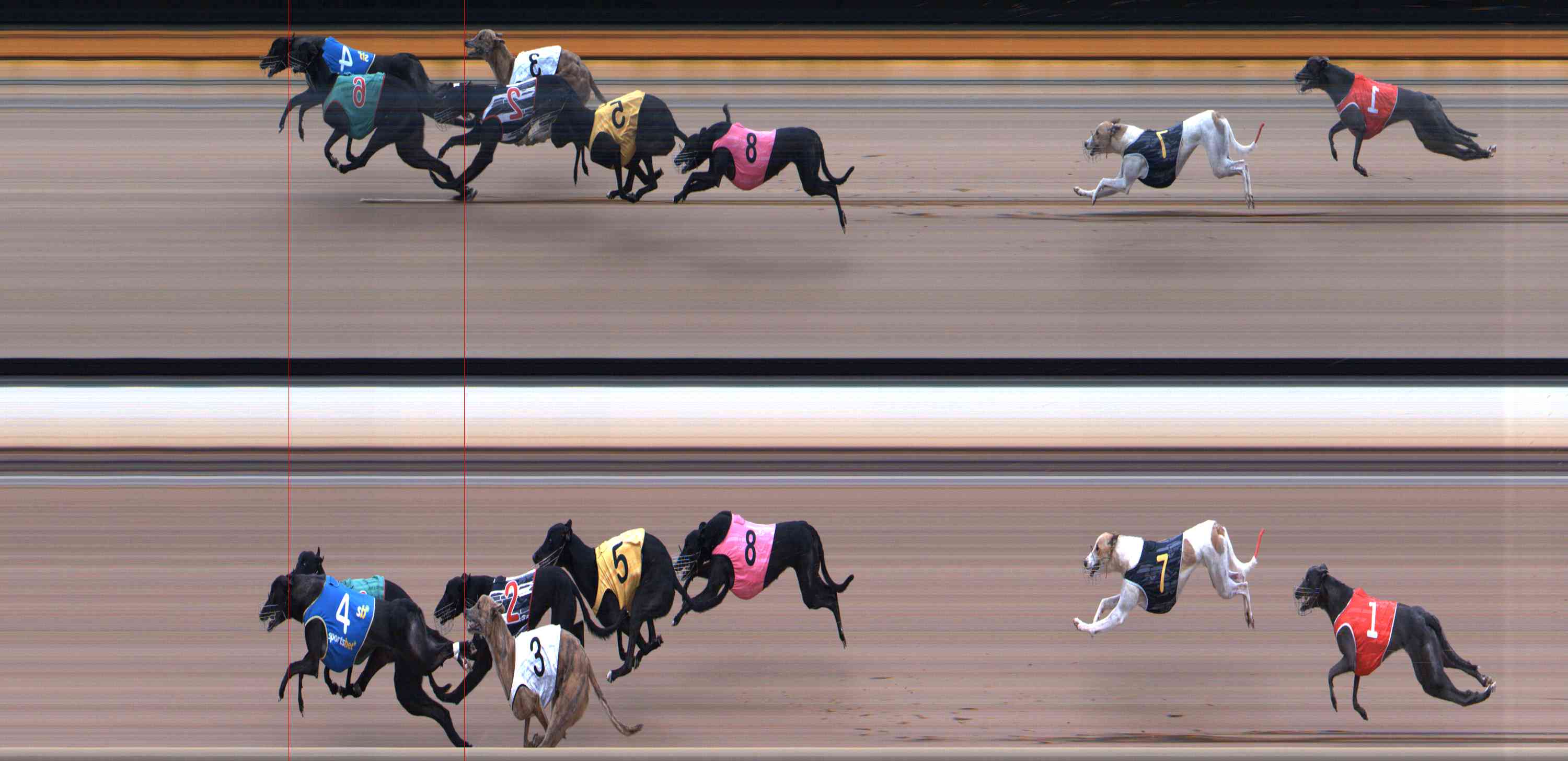Photo finish for Healesville Race 9