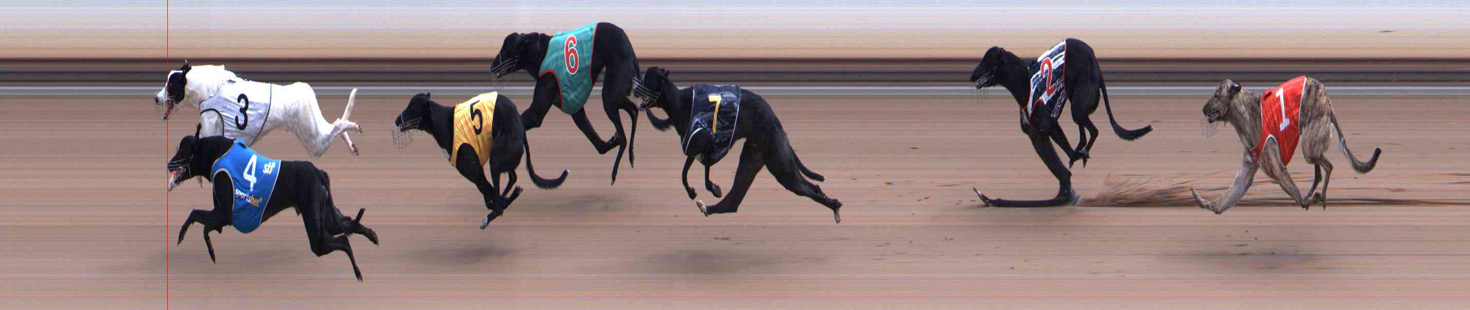 Photo finish for Healesville Race 10