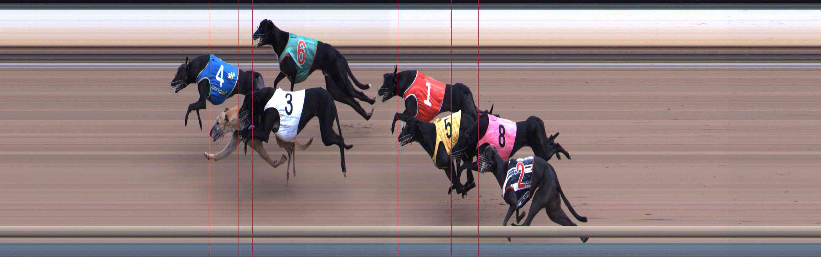 Photo finish for Healesville Race 11