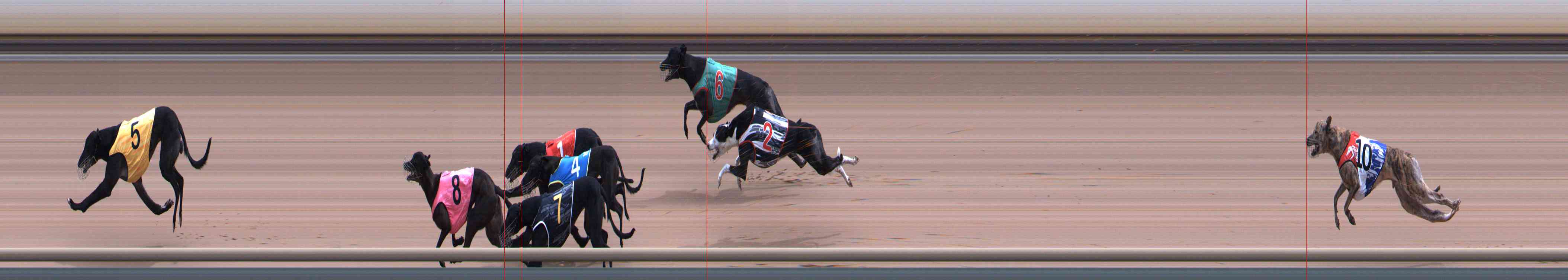 Photo finish for Healesville Race 12