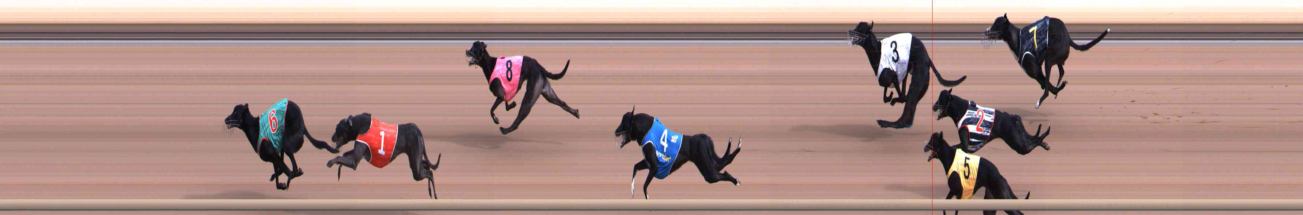 Photo finish for Healesville Race 1