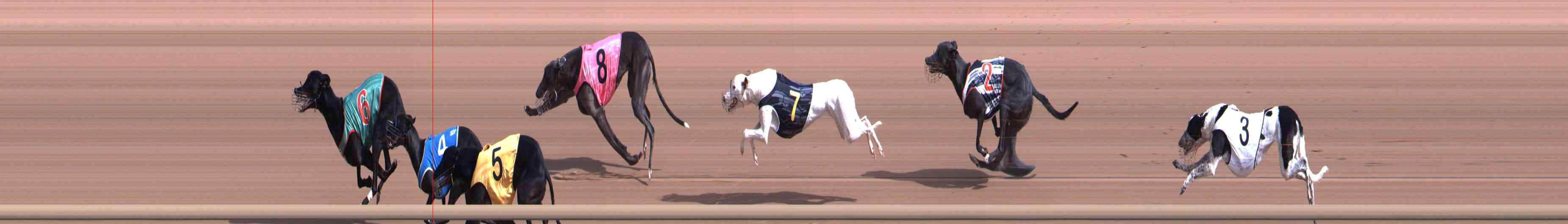 Photo finish for Healesville Race 2