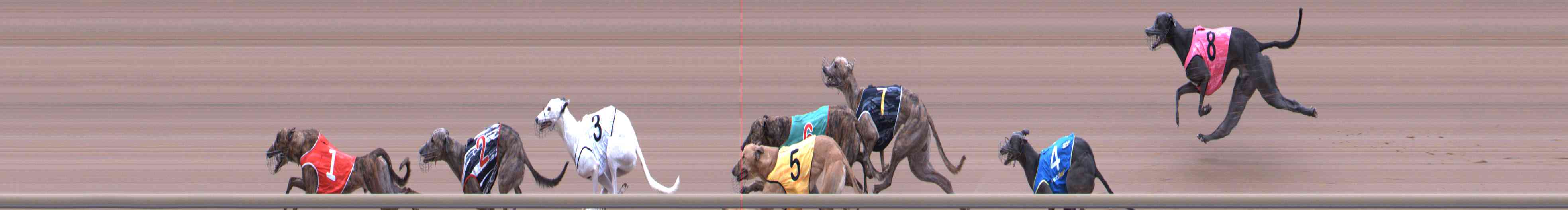 Photo finish for Healesville Race 3