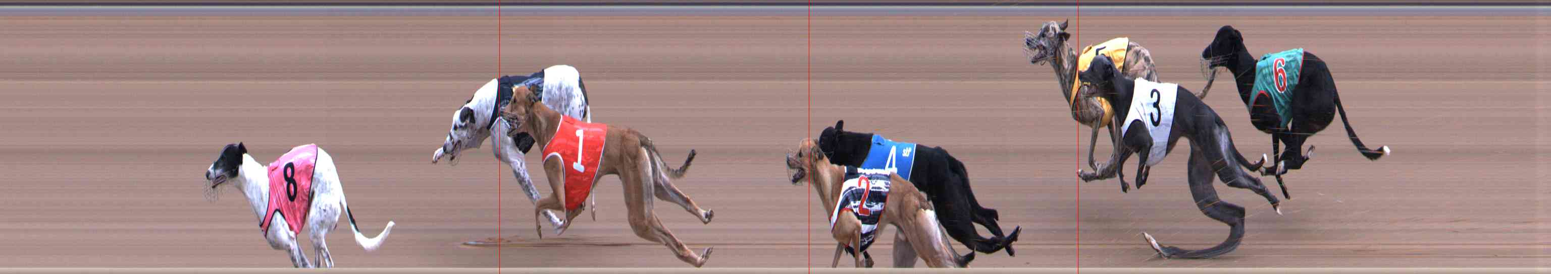 Photo finish for Healesville Race 4