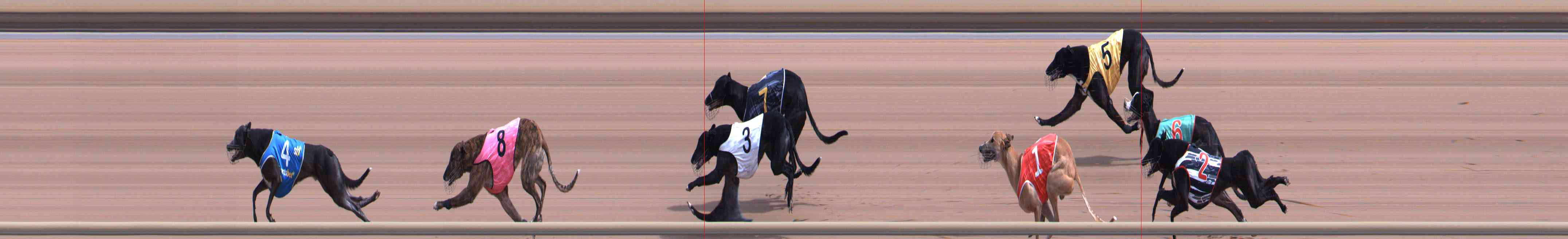 Photo finish for Healesville Race 6