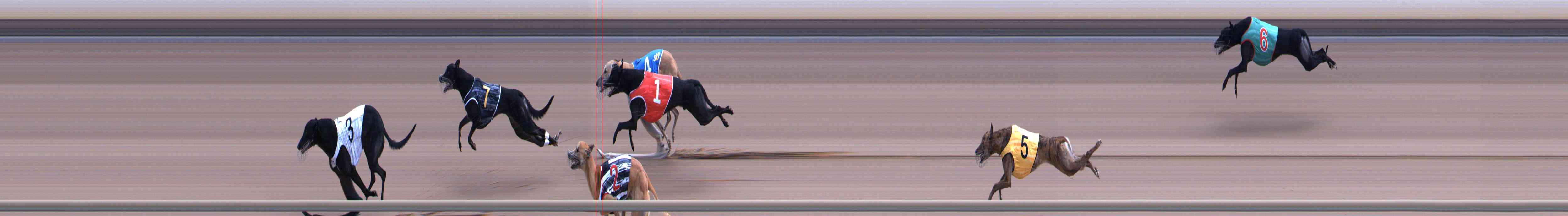 Photo finish for Healesville Race 7