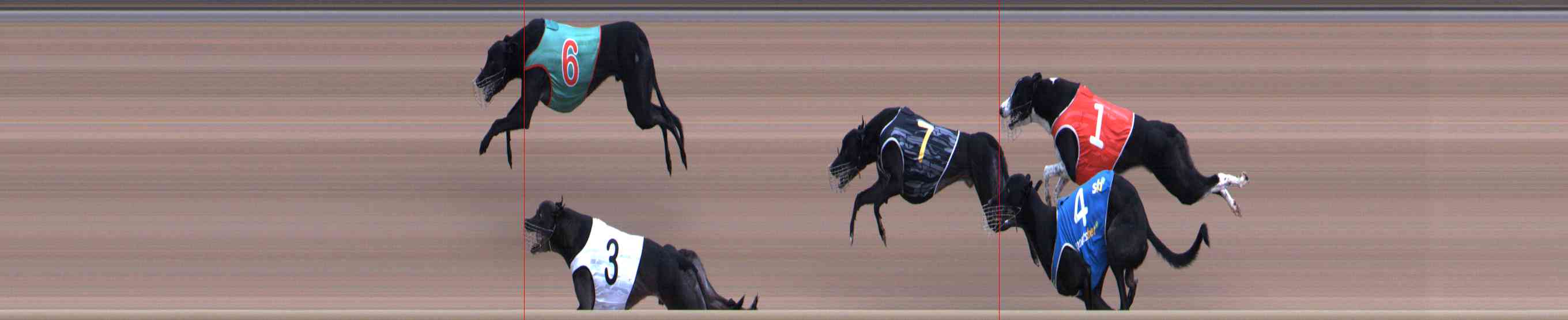 Photo finish for Healesville Race 8