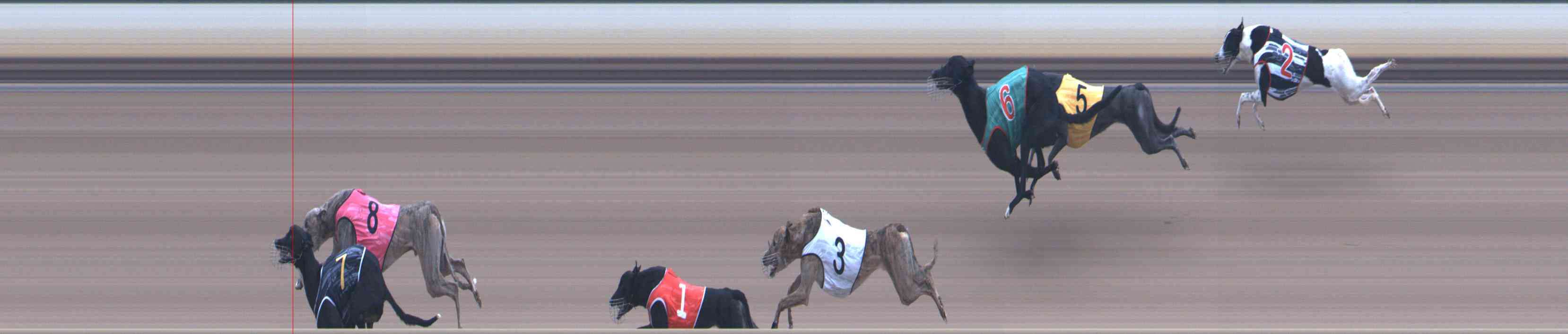Photo finish for Healesville Race 9