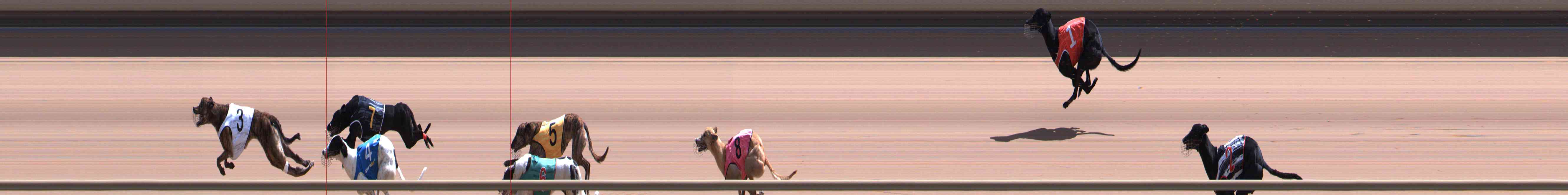 Photo finish for Healesville Race 10