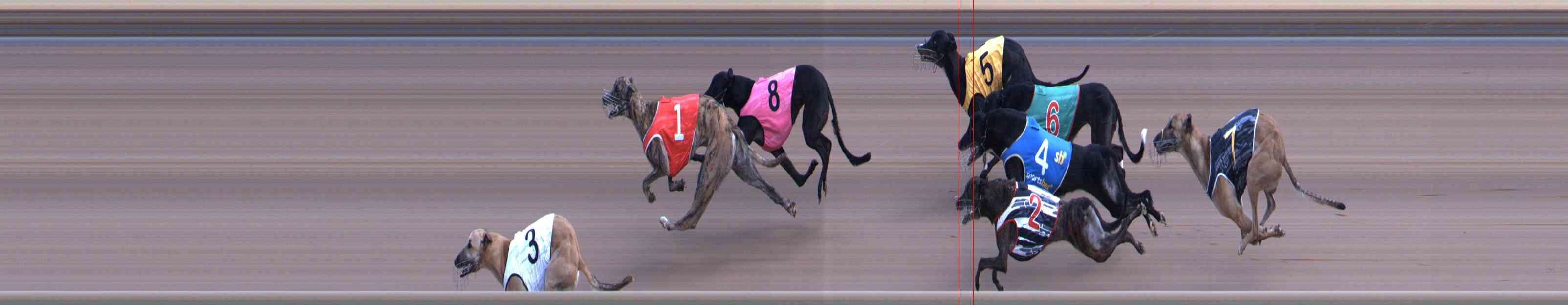 Photo finish for Healesville Race 11