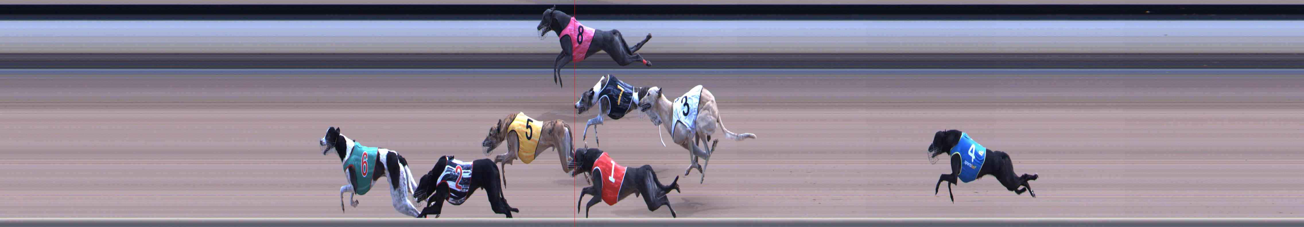Photo finish for Healesville Race 12
