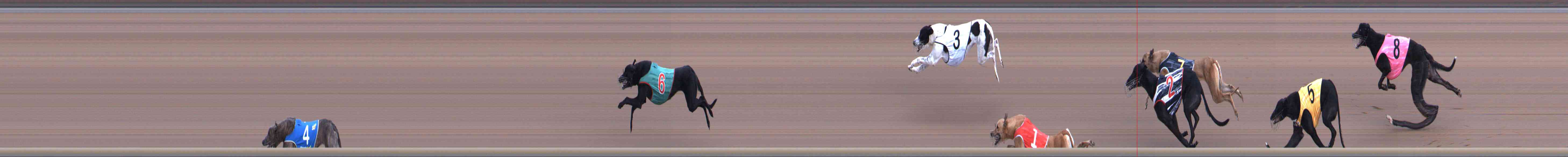 Photo finish for Healesville Race 1