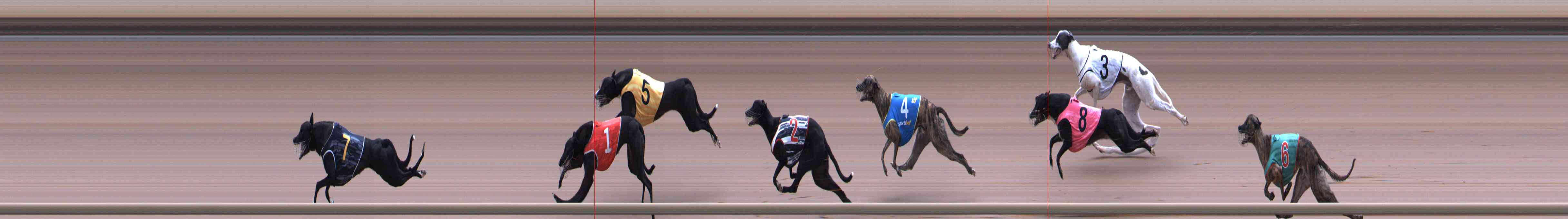 Photo finish for Healesville Race 2