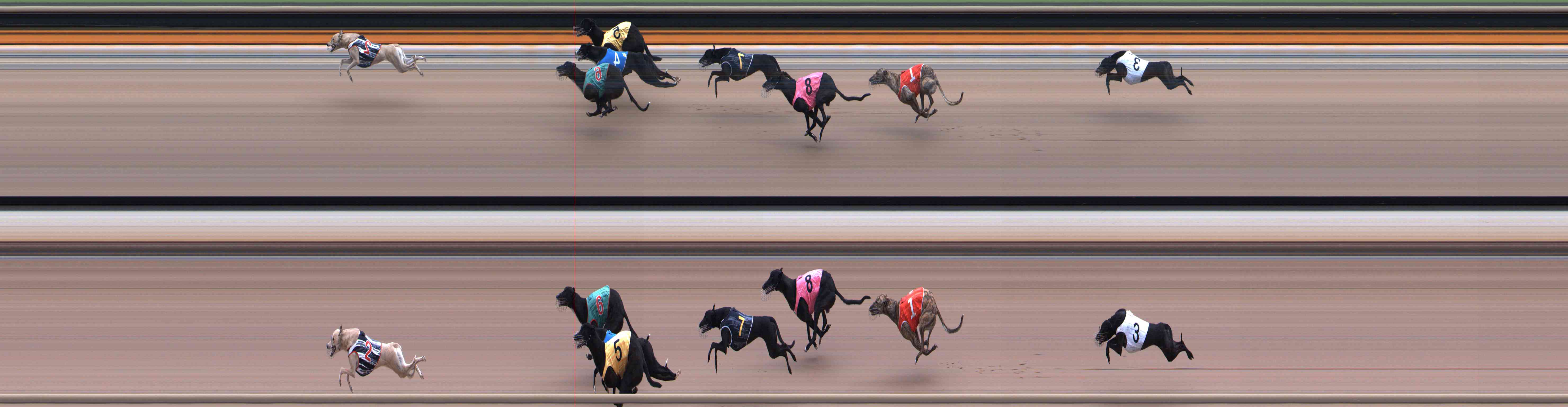 Photo finish for Healesville Race 3