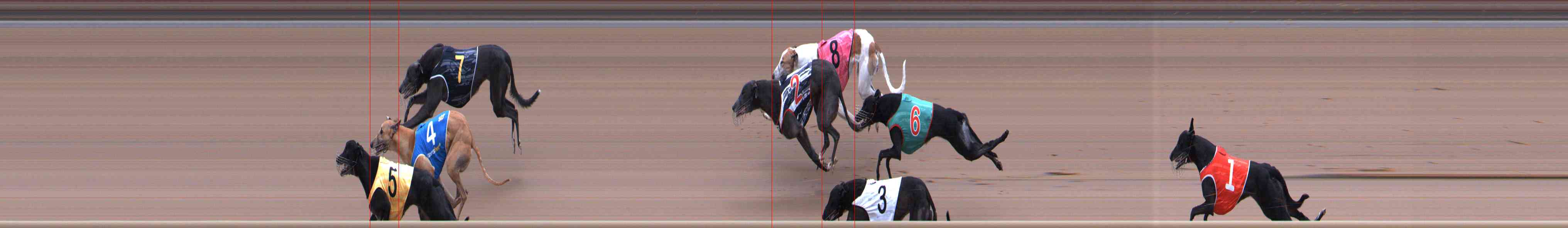 Photo finish for Healesville Race 4