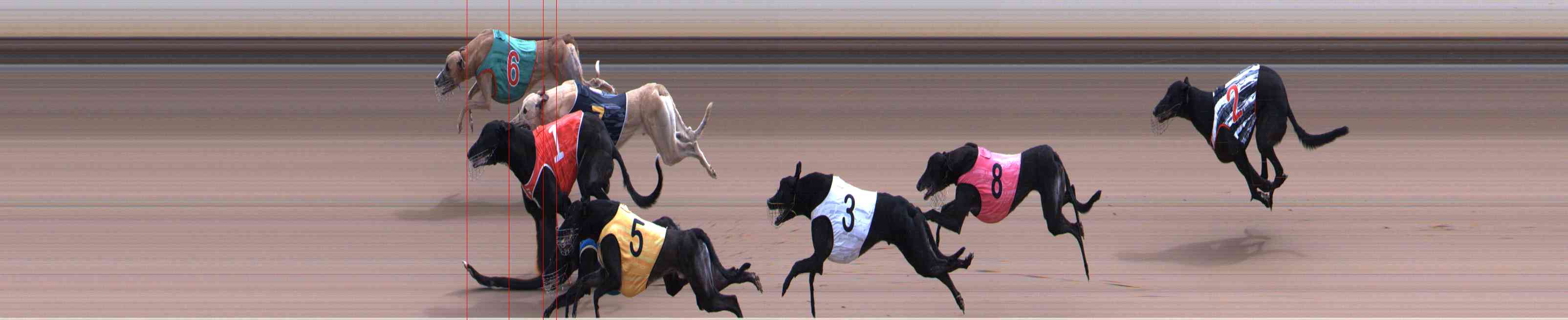 Photo finish for Healesville Race 6