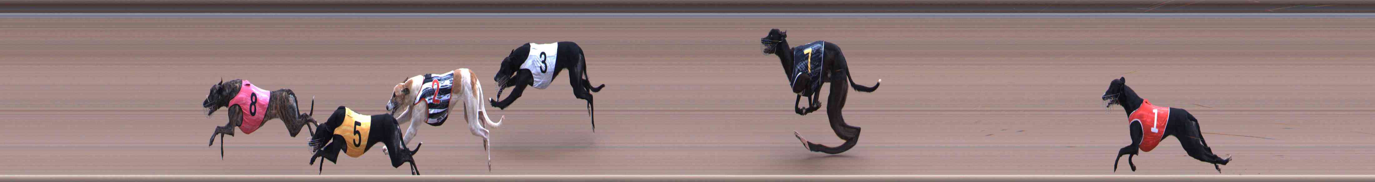 Photo finish for Healesville Race 7