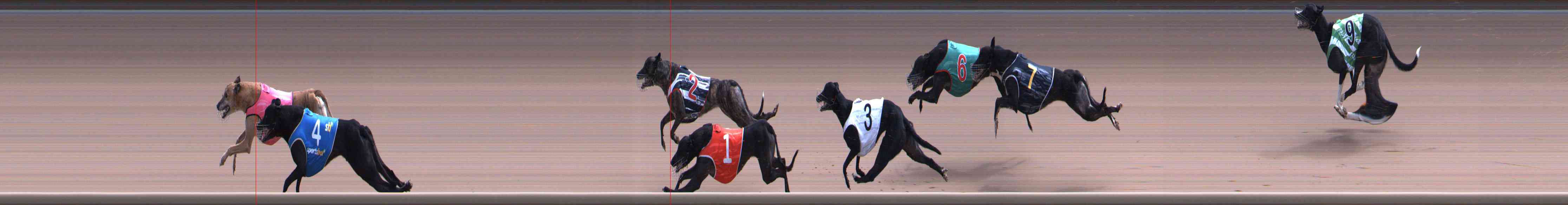 Photo finish for Healesville Race 8