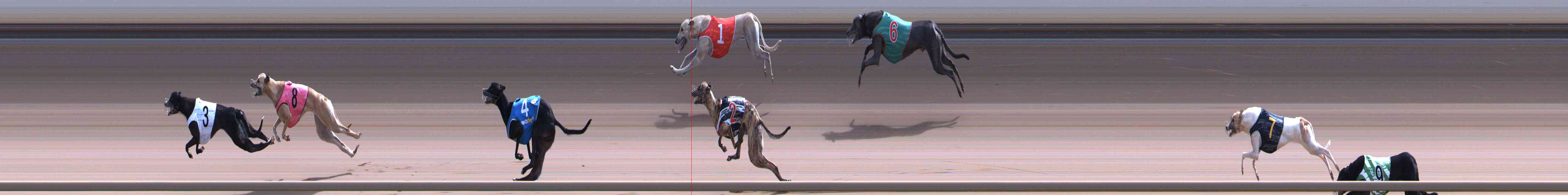 Photo finish for Healesville Race 9