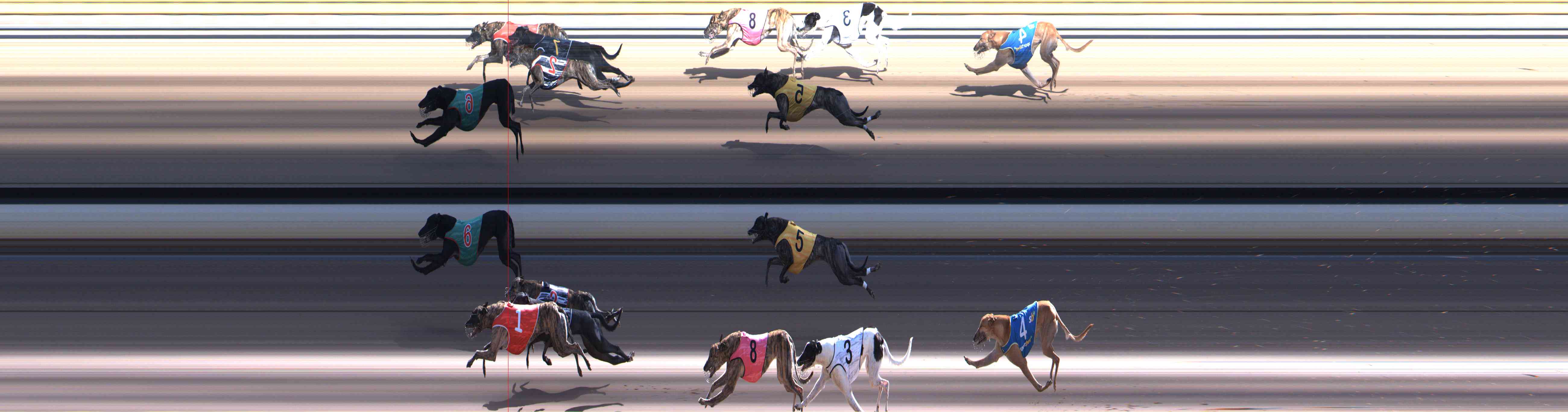 Photo finish for Healesville Race 10