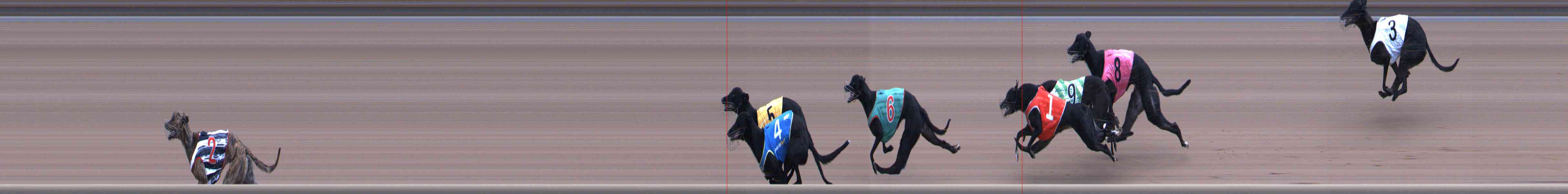 Photo finish for Healesville Race 11