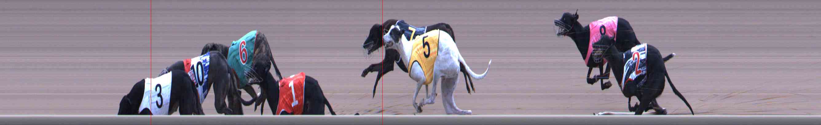 Photo finish for Healesville Race 12