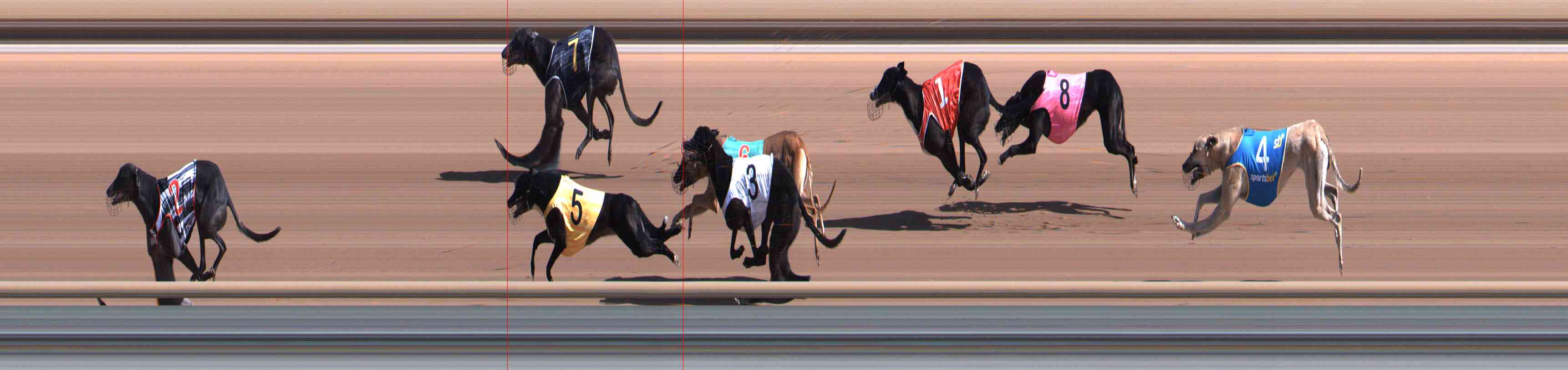 Photo finish for Healesville Race 1