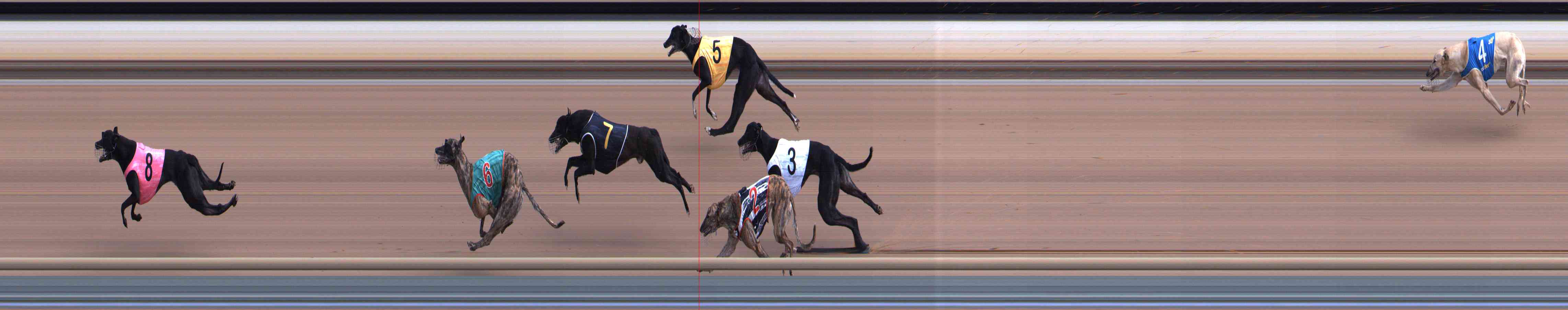 Photo finish for Healesville Race 2
