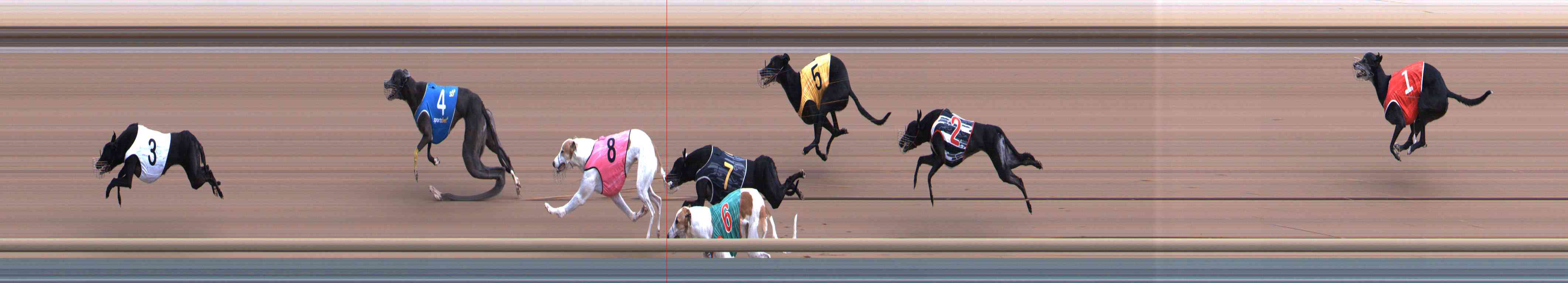 Photo finish for Healesville Race 3