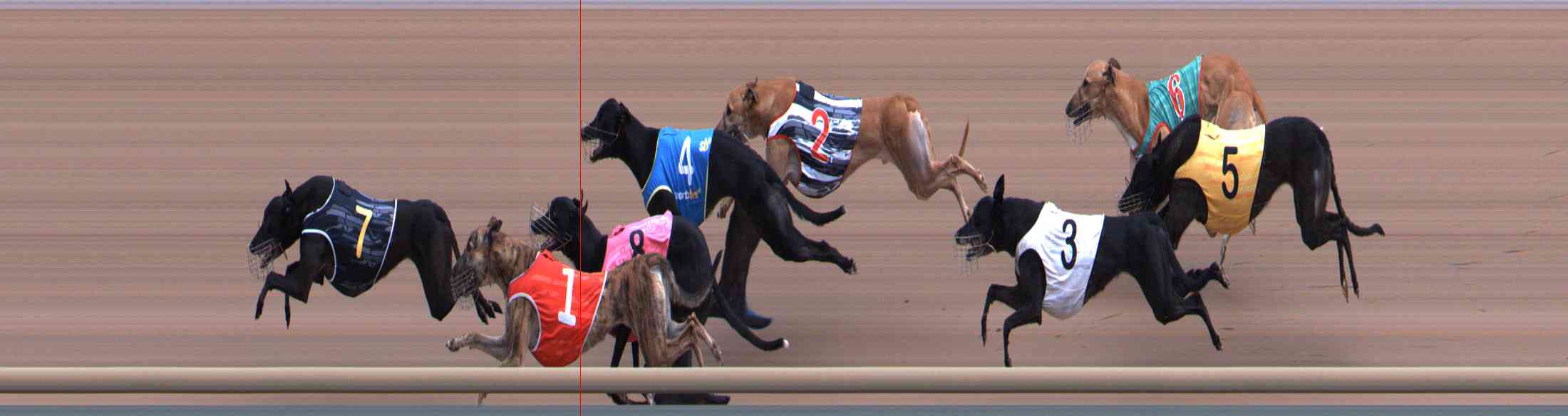 Photo finish for Healesville Race 4