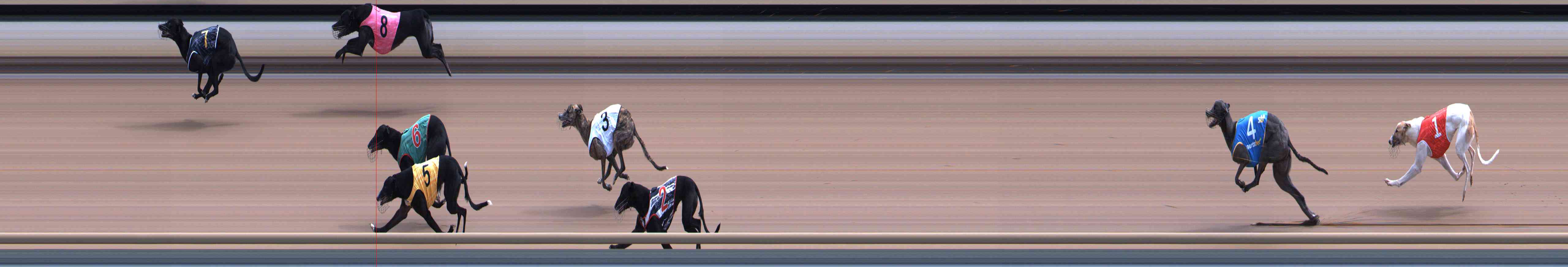 Photo finish for Healesville Race 5
