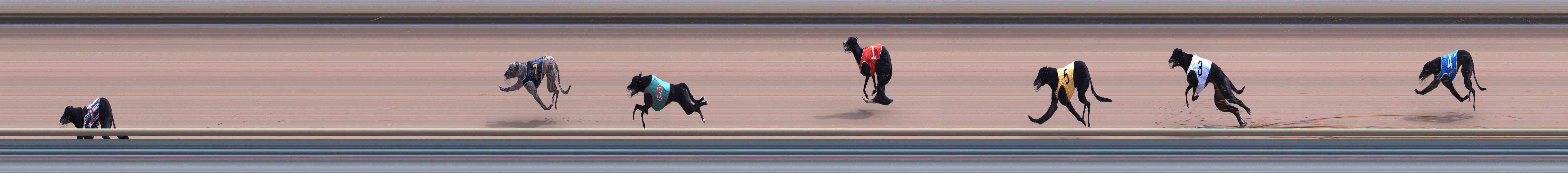 Photo finish for Healesville Race 6